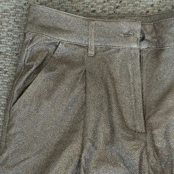 Sparkly Dress Pants - Picture 2 of 7